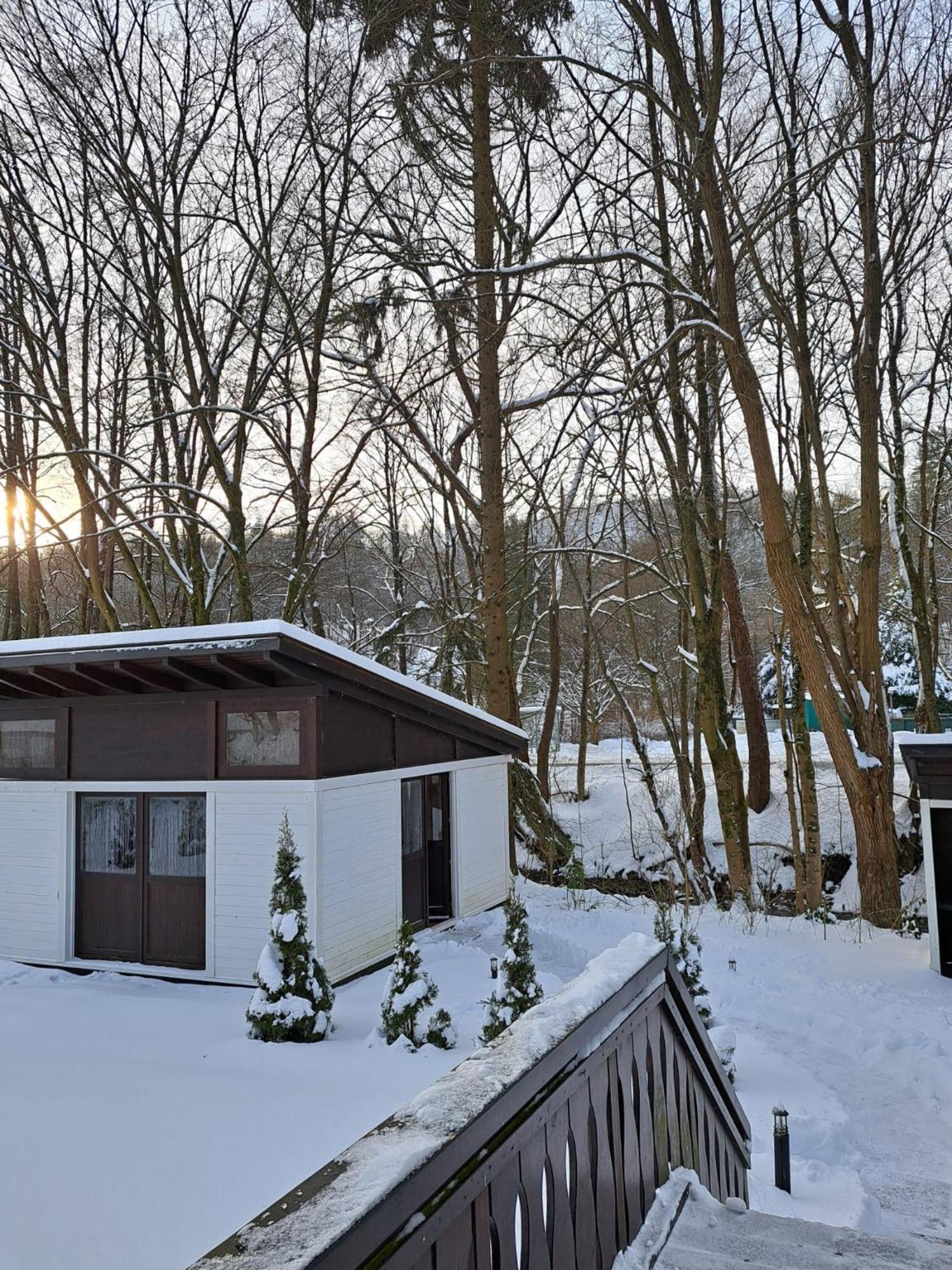 Ferienhaus Gretel In Zorge Exterior foto
